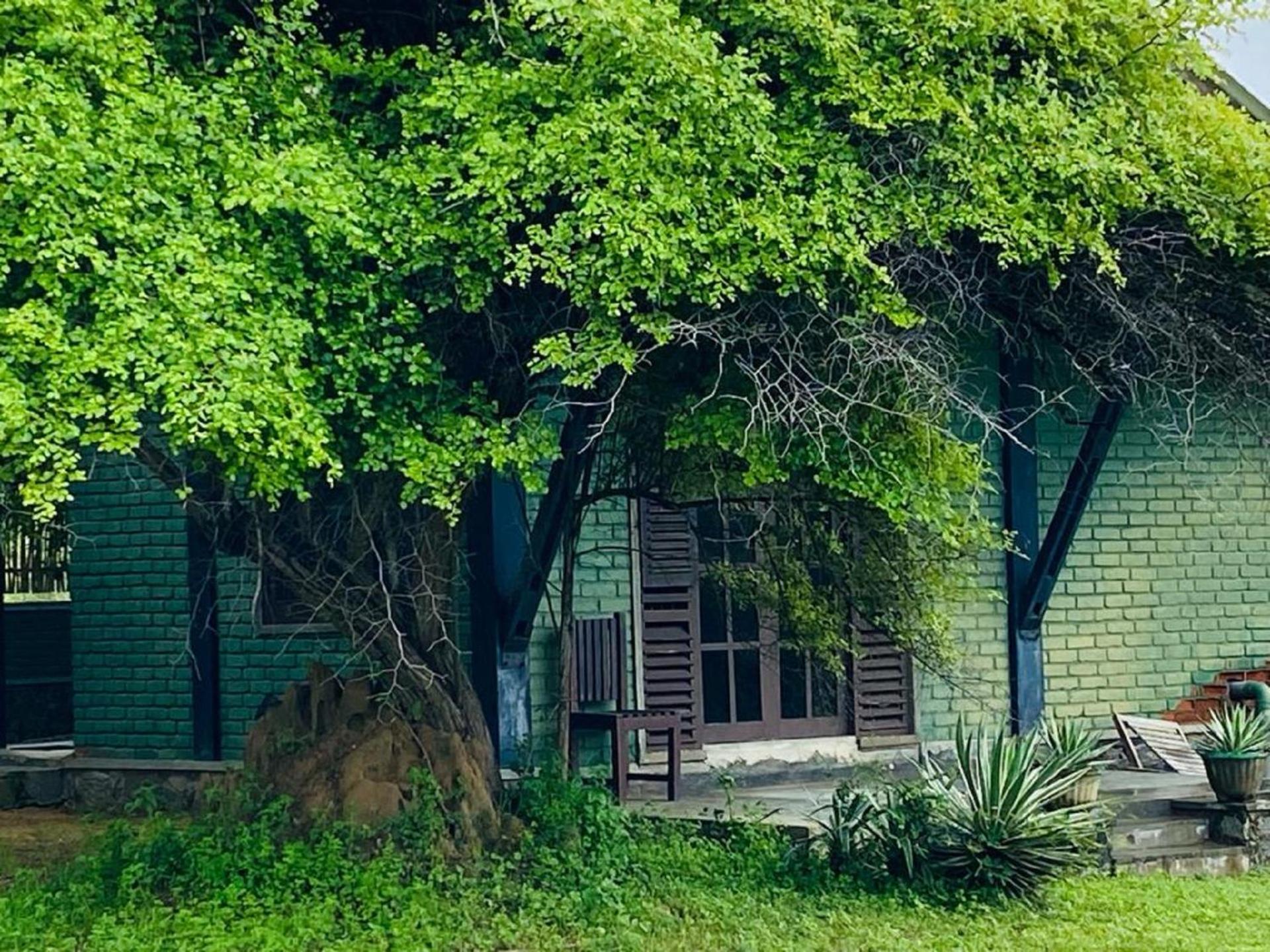 Yala Ying Yang Hostel & Camping Екстериор снимка