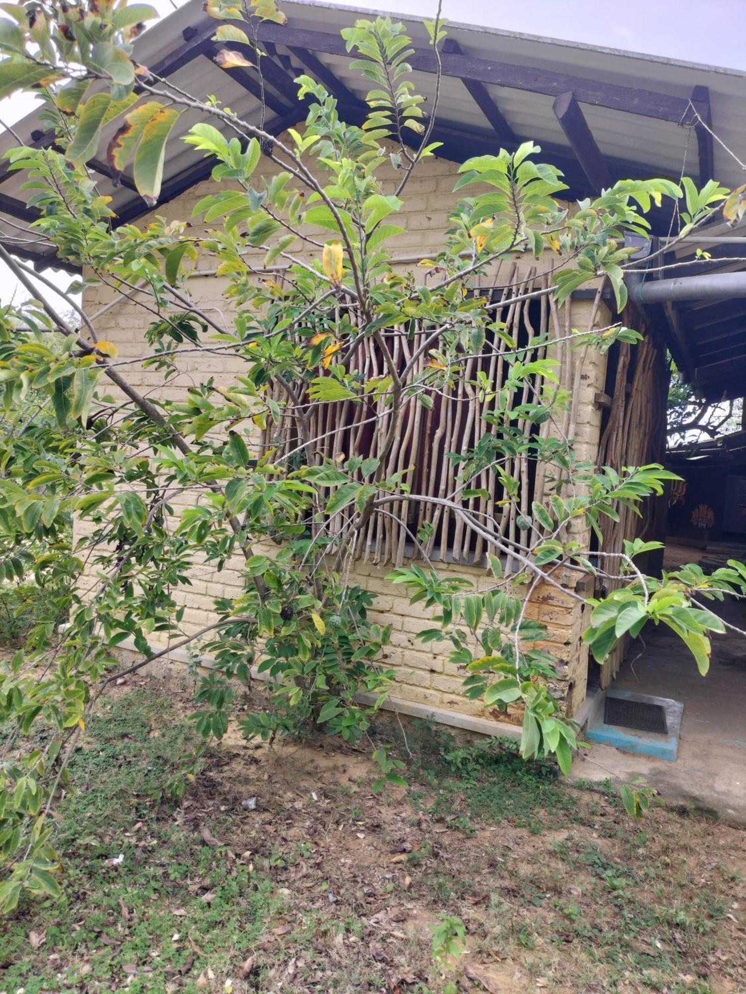 Yala Ying Yang Hostel & Camping Екстериор снимка